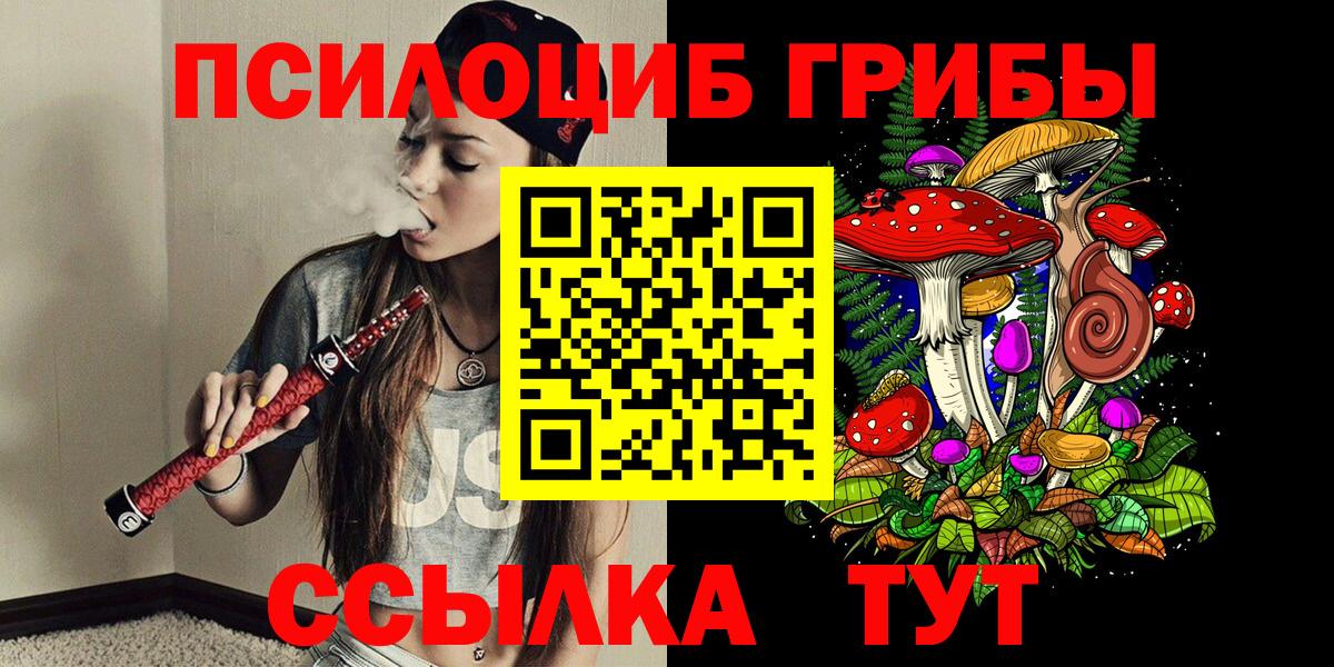 Орск  Псилоцибиновые грибы MAGIC MUSHROOMS  Псилоцибиновые грибы GOLDEN TEACHER  Вход с VPN 